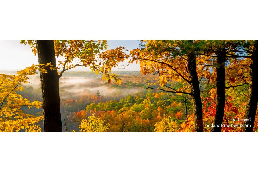 Rollaway View - Panoramic