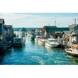Summer in Fish Town
