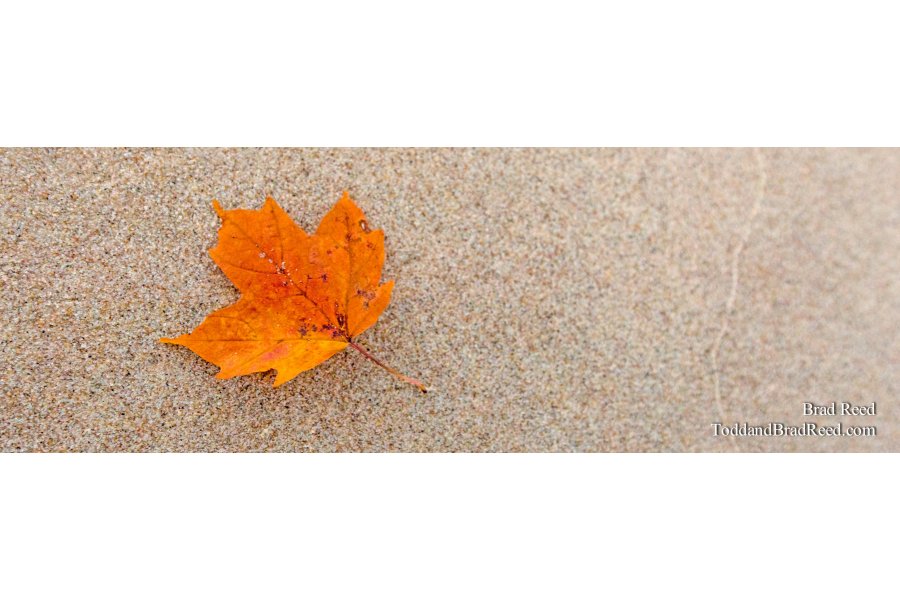 Fleeting Moment - Panoramic