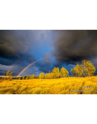 Wonderous West Shore