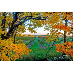 Window On Riverton