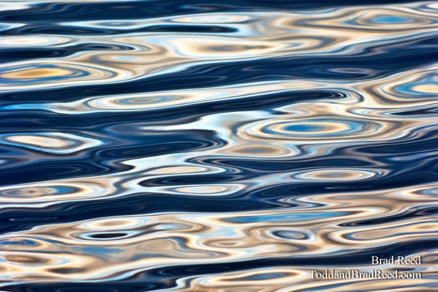 Liquidity
