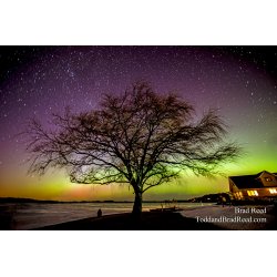 Tree of Light