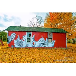 Chicken Coop