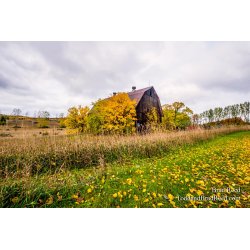 Colorful Landscape