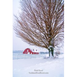 Hamlin Blizzard