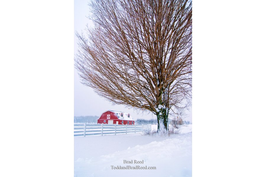 Hamlin Blizzard