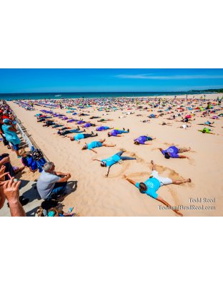 Sand Angels