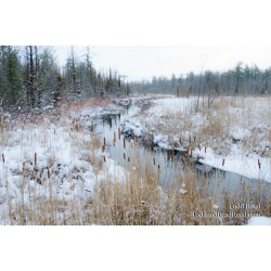 Wintery Watershed