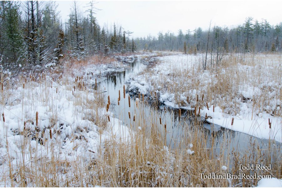 Wintery Watershed