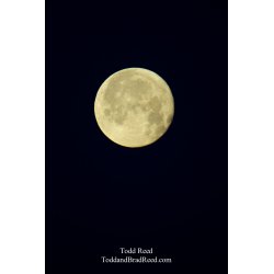 Winter Moon