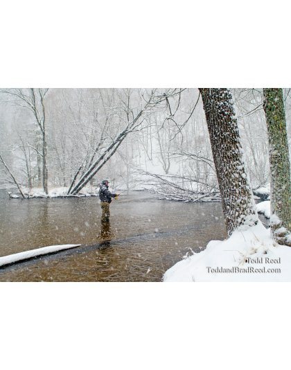 Fishermans Fairy Tale