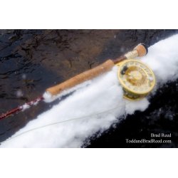 Fly Rod