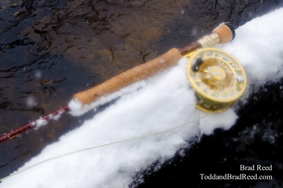 Fly Rod