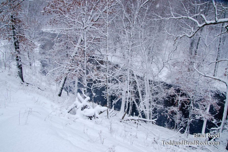 Snow Covered Bliss