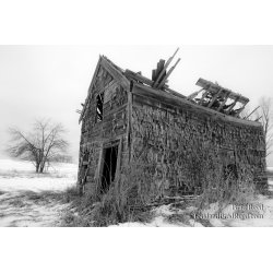 Old Man Winter
