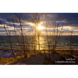 Winter Warmth