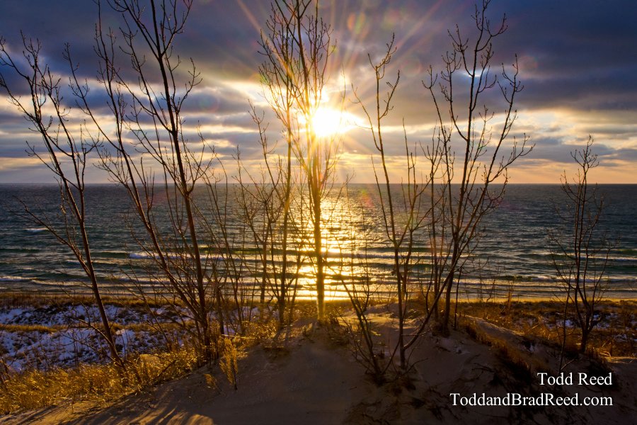 Winter Warmth