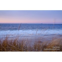 Soft Morning Light