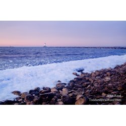 A Mild Lake Michigan Winter
