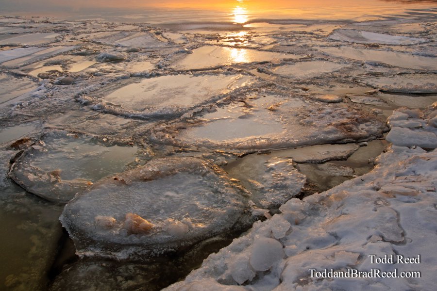 Icy World