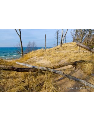 Place to Contemplate