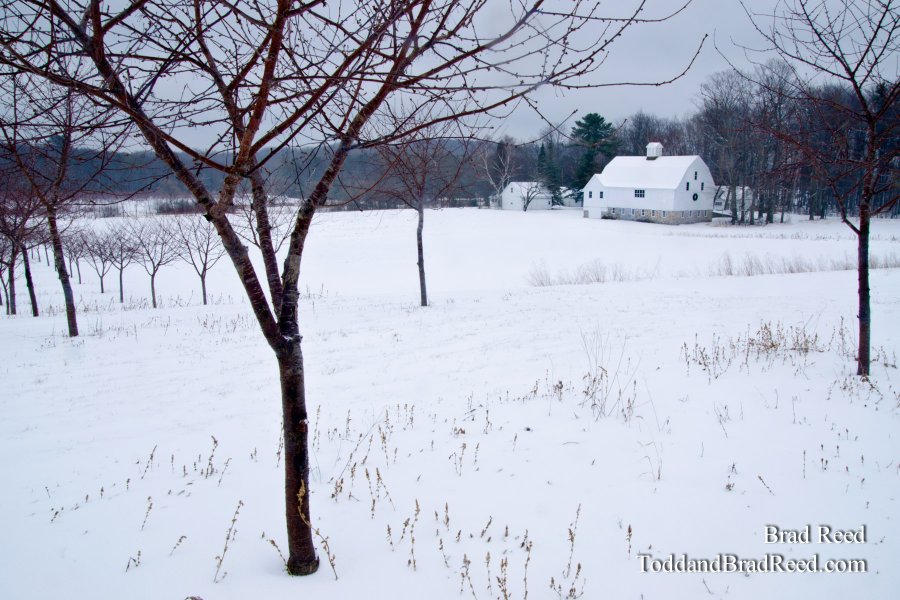 Cherry Basket Farm