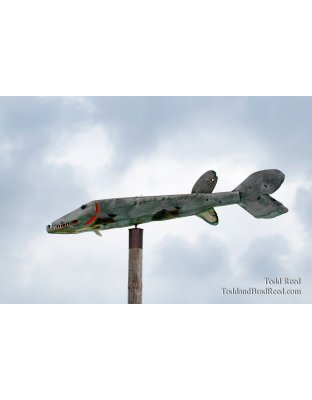 Into the Teeth of the Wind