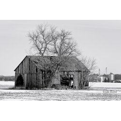 Country Contrasts