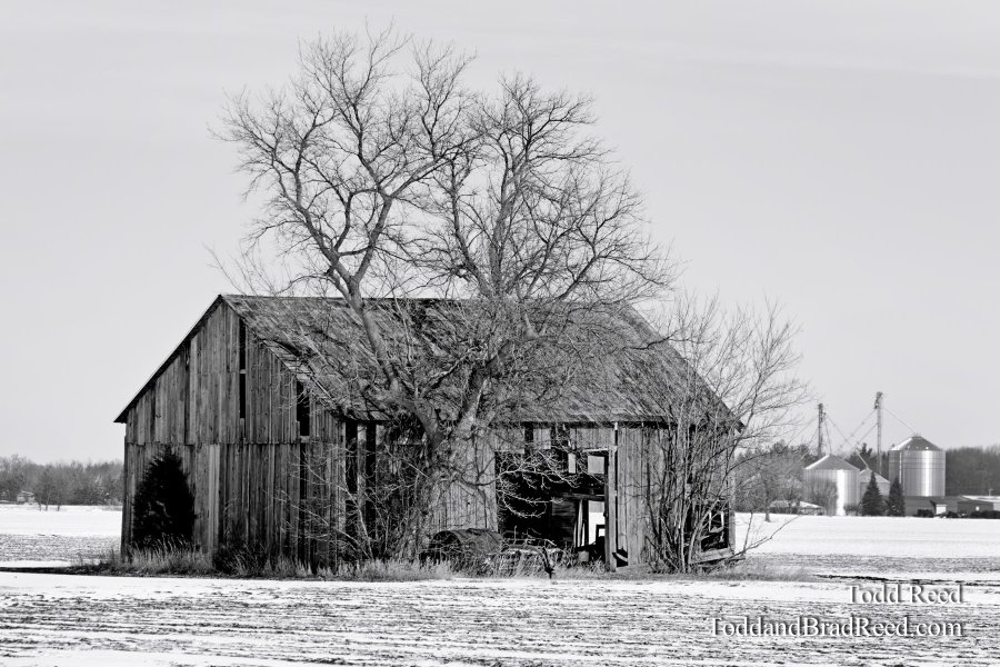 Country Contrasts