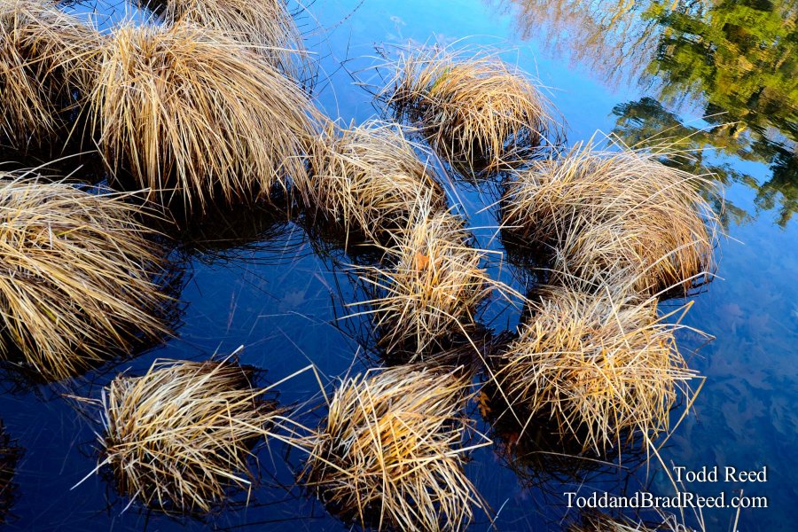 Mop Heads