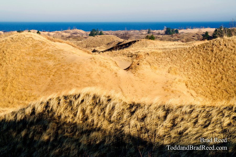 Porcupine Dune