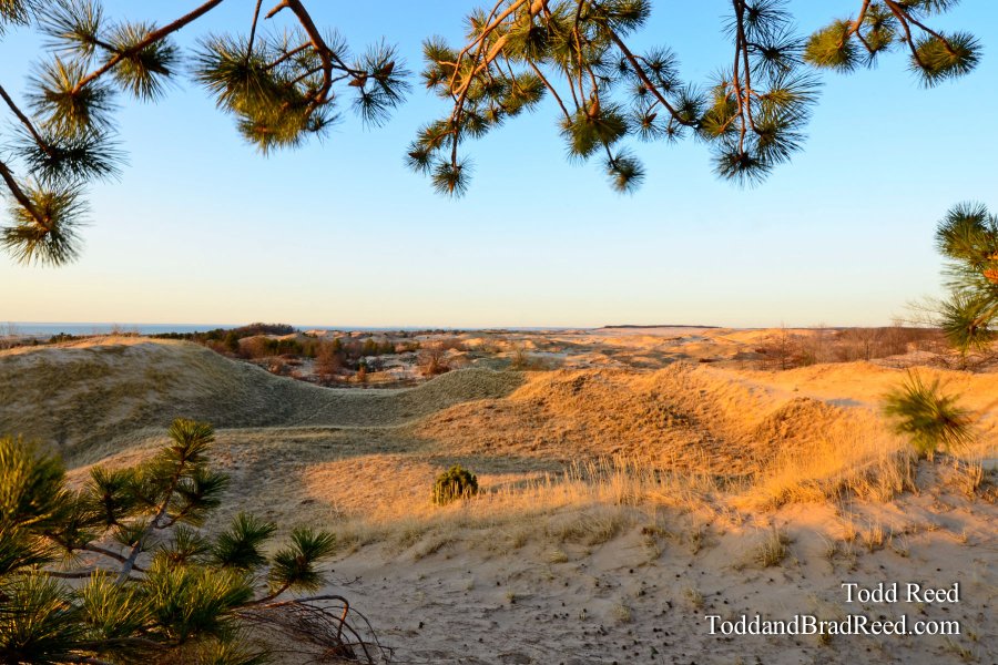 Dunes Overlook