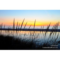 Stillness at the Outlet