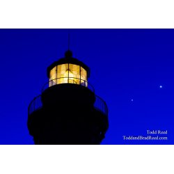 Night Lights
