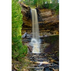 Tall Fall