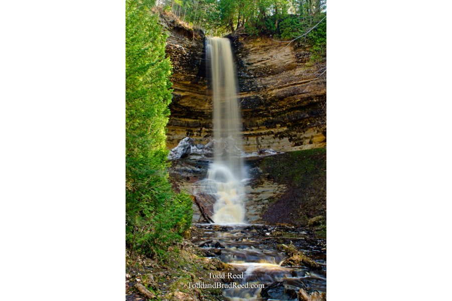 Tall Fall