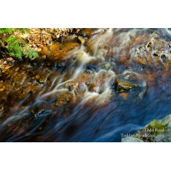 Old Man River