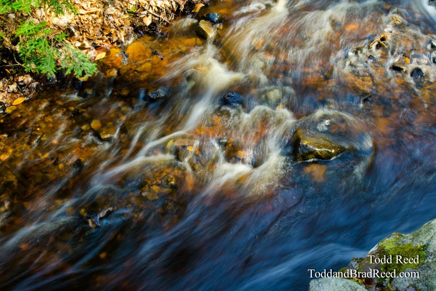 Old Man River