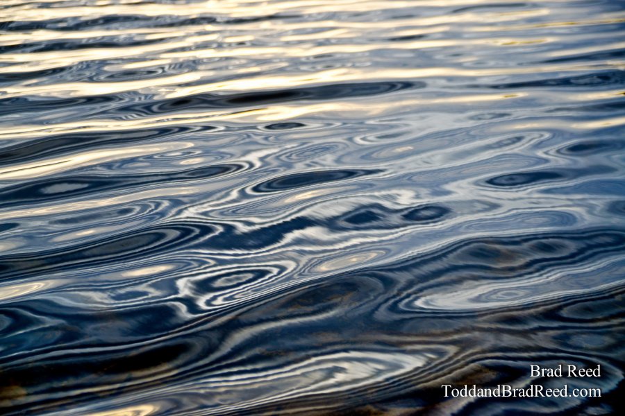 Water Grain