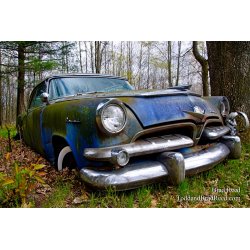 Motor Country