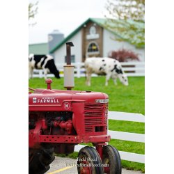 Country Dairy
