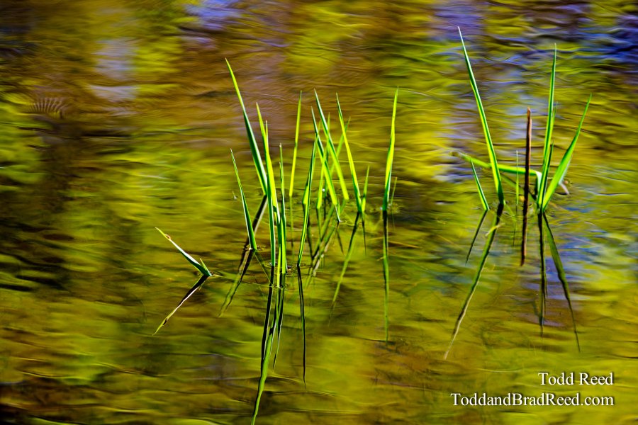 Ripple Creek