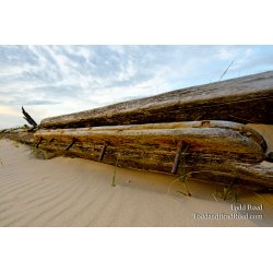 Shipwreck Ashore