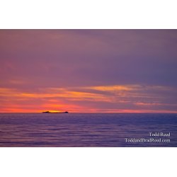 Sun Ship
