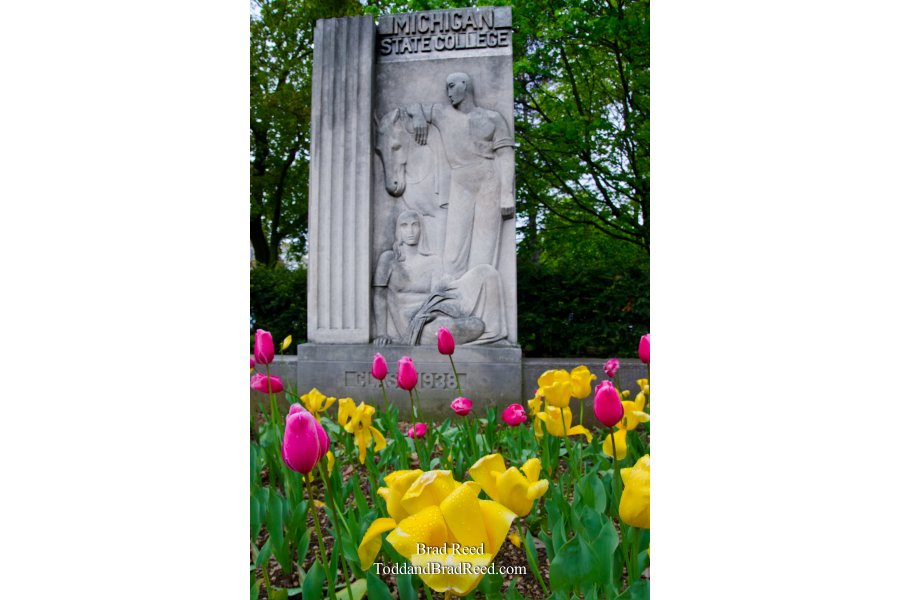 MSU Class of 1938