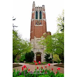 MSU Centerpiece