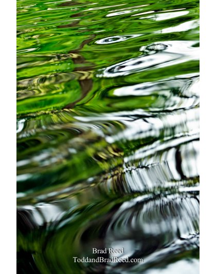 Bleeding Green and White