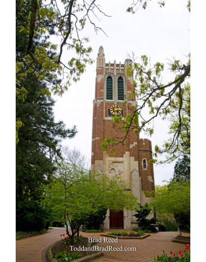 Beautiful Beaumont Tower