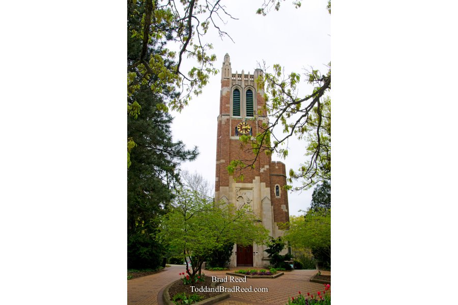 Beautiful Beaumont Tower